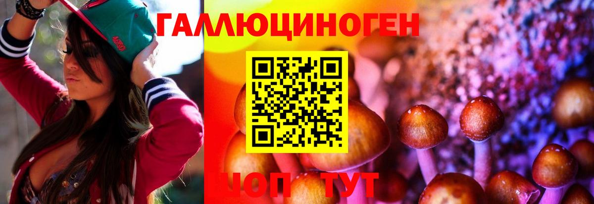 Псилоцибиновые грибы GOLDEN TEACHER Киреевск
